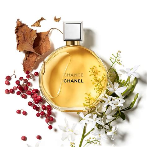 chanel perfume scent descriptions|chanel perfume outlet online.